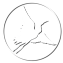 LOGO BLACK PELICAN FLYING